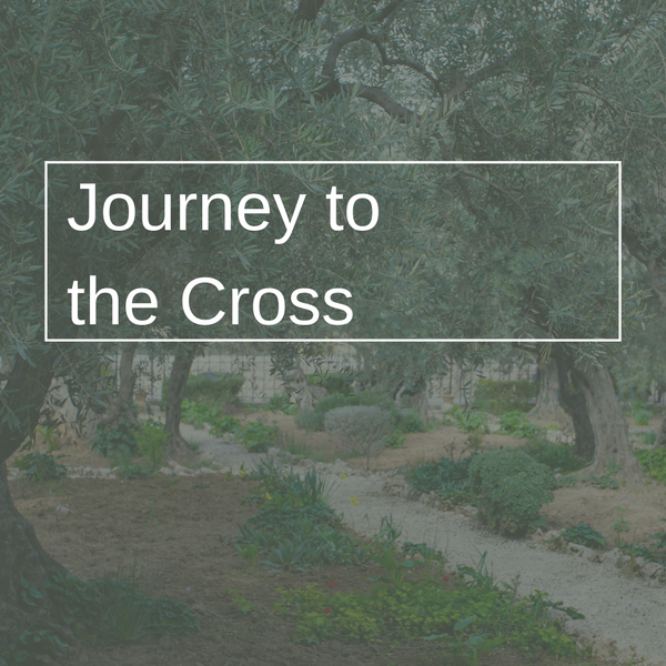 Journey to the Cross